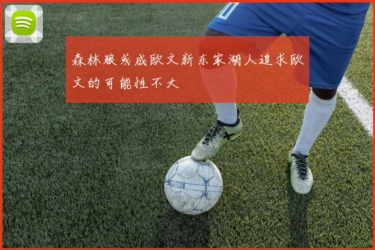森林狼或成欧文新东家湖人追求欧文的可能性不大